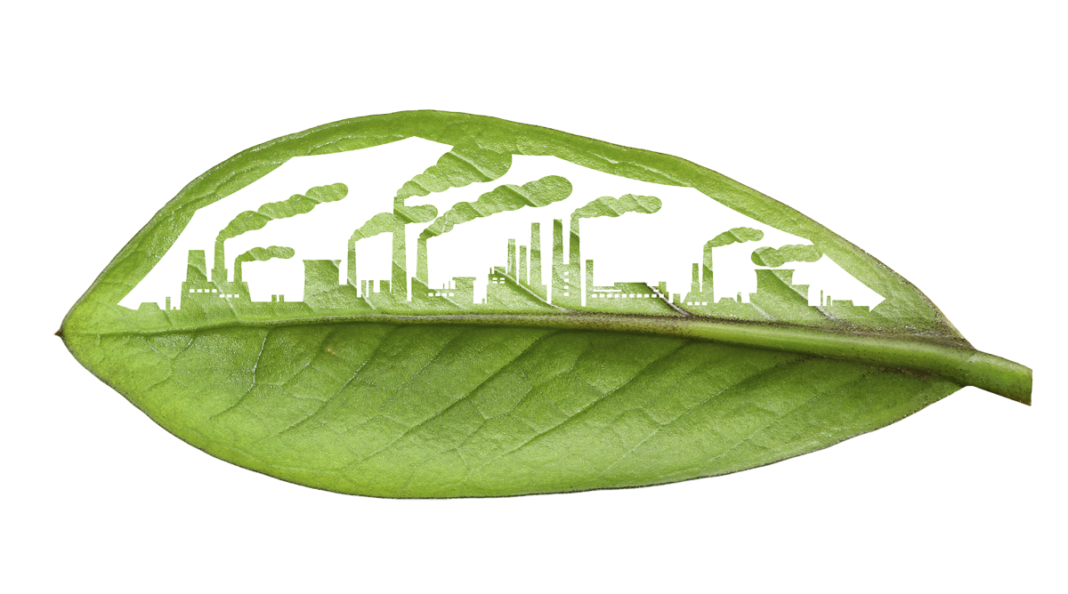 leaf-building-merge-WEB