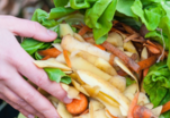 1576750197Foodwasteimage