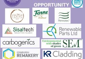 Green business internship
