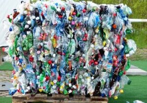 plastic bottles, bottles, recycling